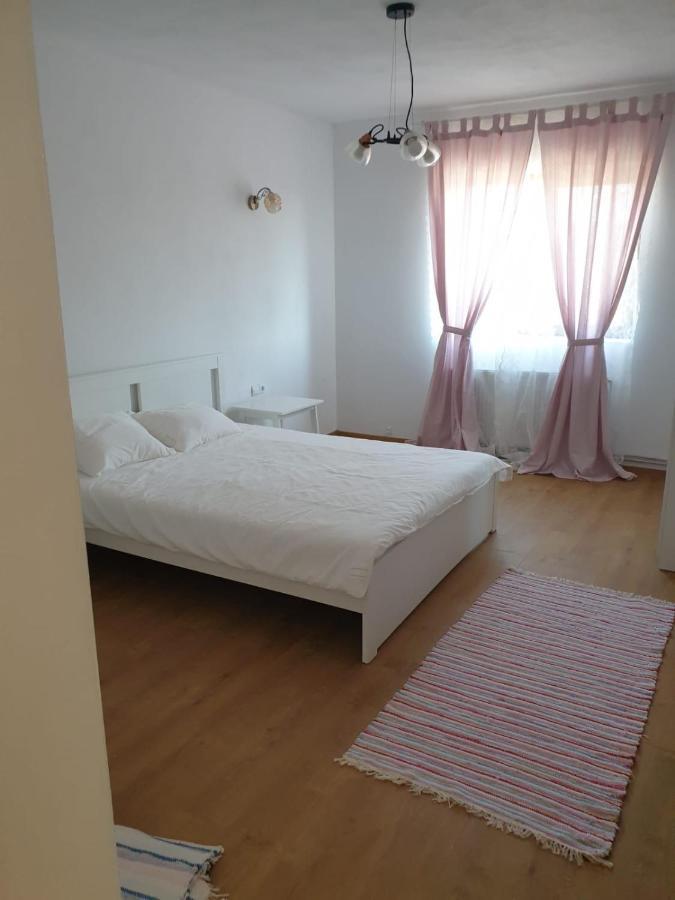 Casuta De La Munte Hotel Sfodea ภายนอก รูปภาพ