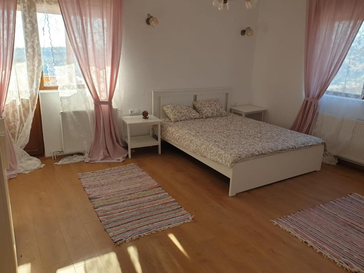 Casuta De La Munte Hotel Sfodea ภายนอก รูปภาพ