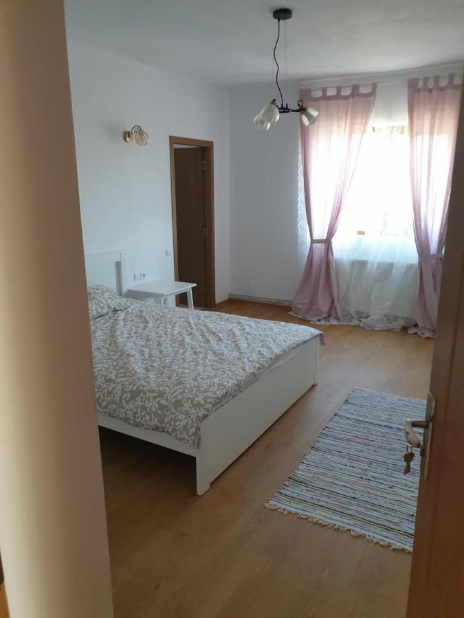 Casuta De La Munte Hotel Sfodea ภายนอก รูปภาพ
