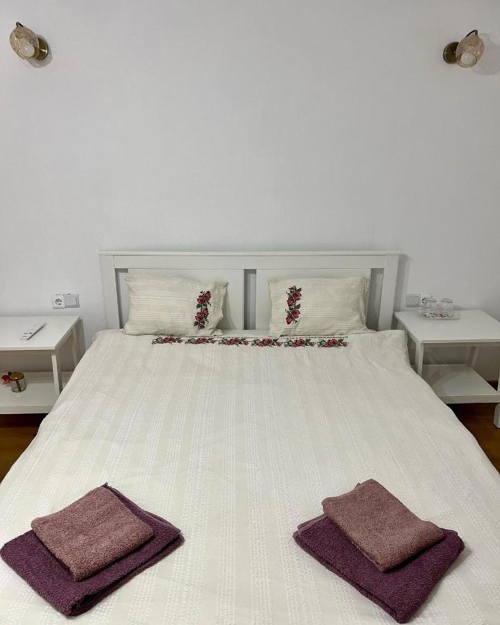 Casuta De La Munte Hotel Sfodea ภายนอก รูปภาพ